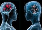 Brain-differences-between-sexes.jpg