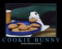 cookie-bunny.jpeg