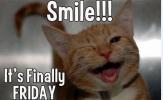 smile-cat-friday.jpg