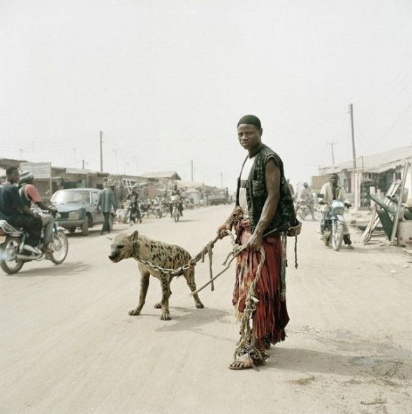afrikanische Haustiere