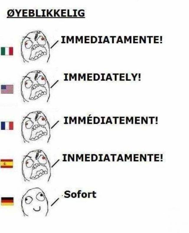 Deutsche Sprache, schwere Sprache