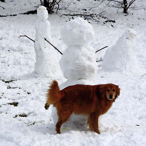 lustige Schneemaenner - Bilder auf bildschirmarbeiter.com