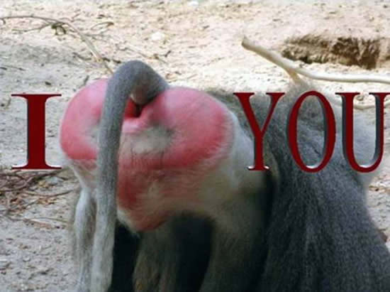 b:a - picdump 10.05.07