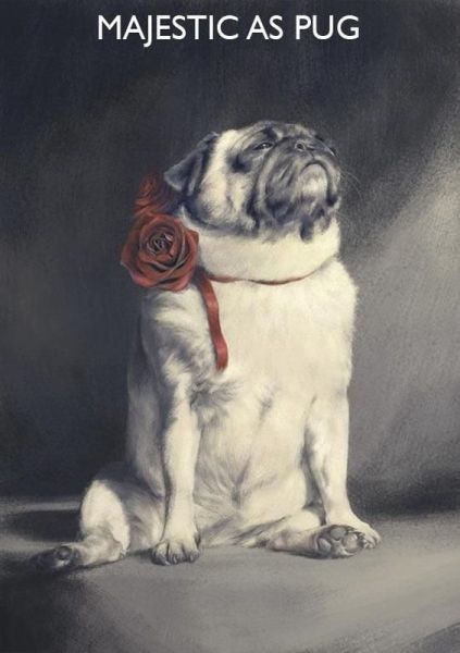 Bildschirmarbeiter - Picdump 31.01.2014