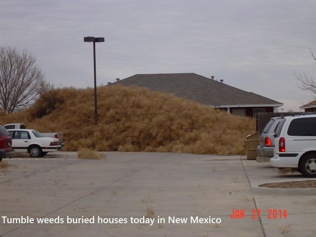 Bildschirmarbeiter - Picdump 31.01.2014