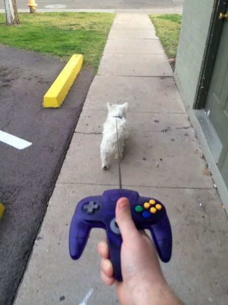 Bildschirmarbeiter - Picdump 31.01.2014