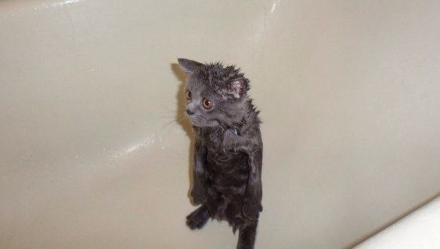 Bildschirmarbeiter - Picdump 31.01.2014