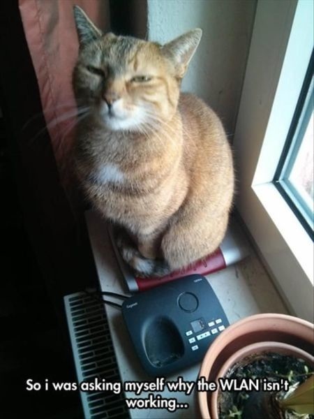 Bildschirmarbeiter - Picdump 31.01.2014