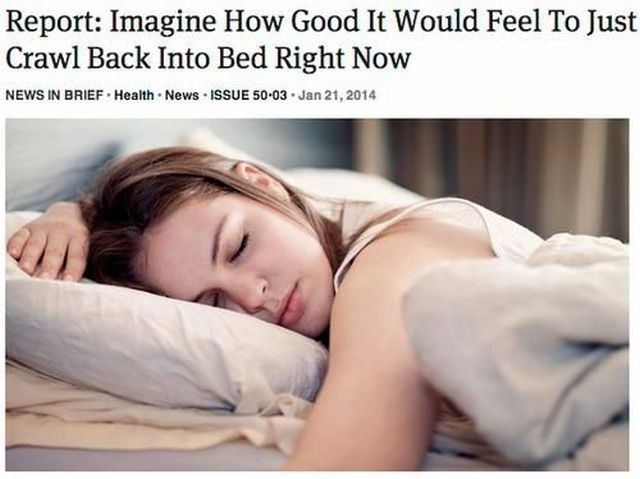 Bildschirmarbeiter - Picdump 31.01.2014