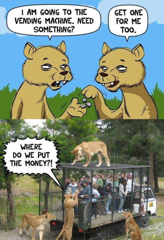 Bildschirmarbeiter - Picdump 31.01.2014