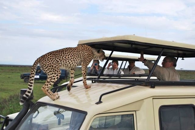 Bildschirmarbeiter - Picdump 31.01.2014