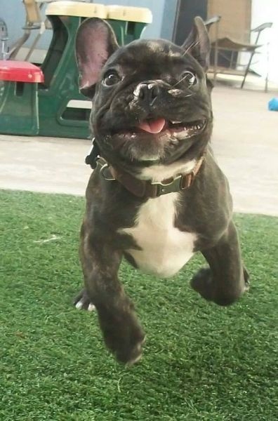 Bildschirmarbeiter - Picdump 31.01.2014