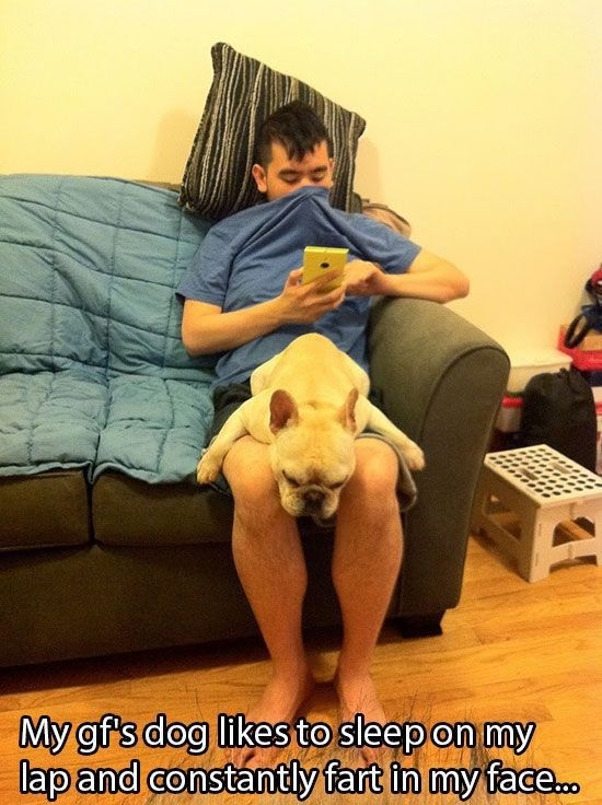 Bildschirmarbeiter - Picdump 31.01.2014