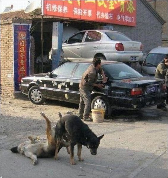 Bildschirmarbeiter - Picdump 31.01.2014