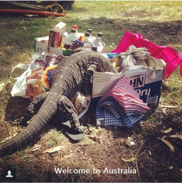 Bildschirmarbeiter - Picdump 31.01.2014