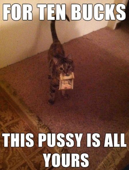 Bildschirmarbeiter - Picdump 31.01.2014