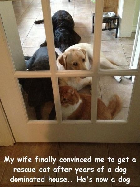 Bildschirmarbeiter - Picdump 31.01.2014