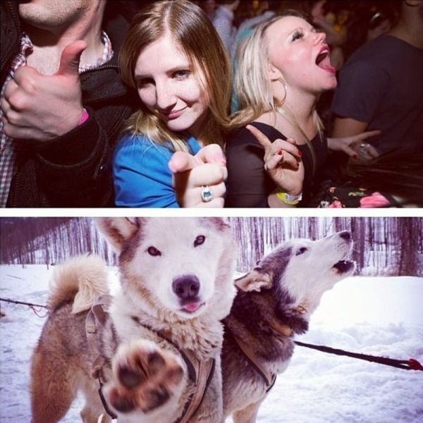 Bildschirmarbeiter - Picdump 31.01.2014