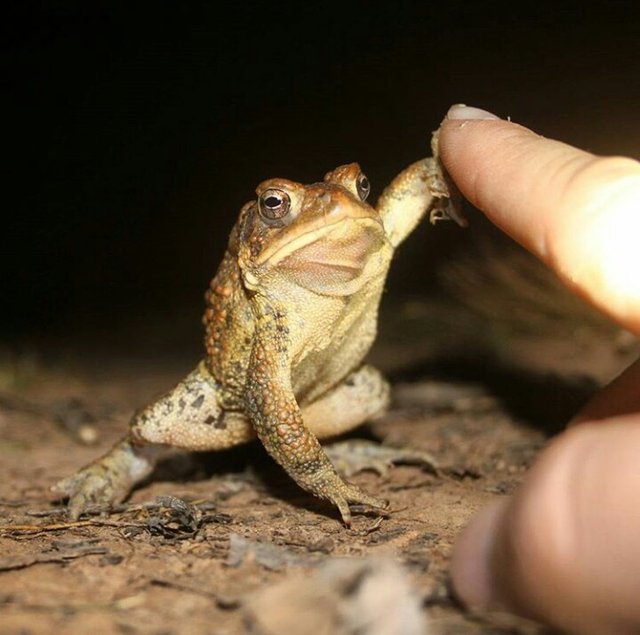 Bildschirmarbeiter - Picdump 18.03.2016