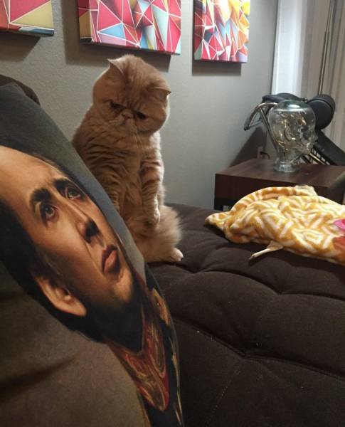 Bildschirmarbeiter - Picdump 18.03.2016