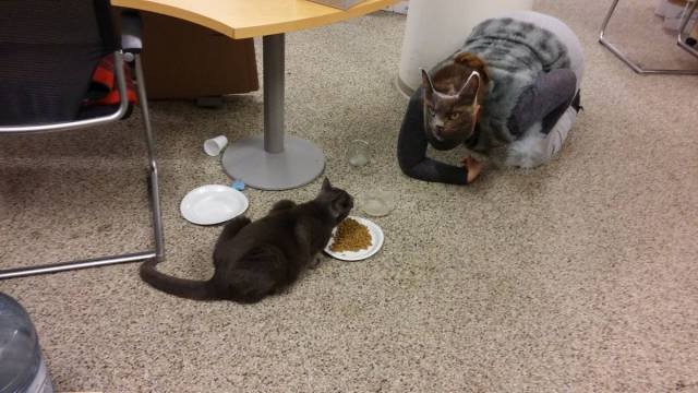 Bildschirmarbeiter - Picdump 18.03.2016