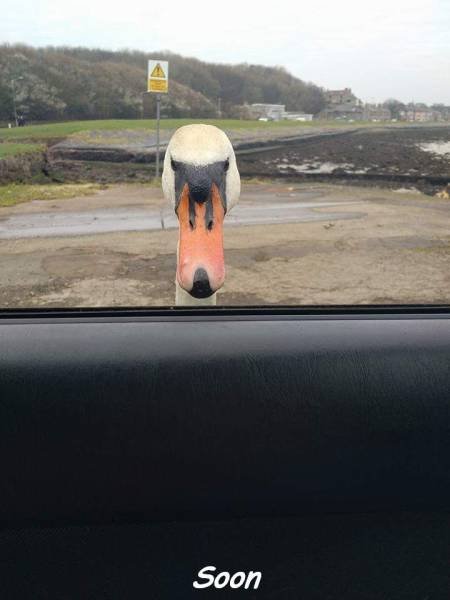 Bildschirmarbeiter - Picdump 18.03.2016