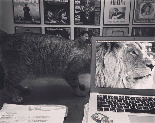 Bildschirmarbeiter - Picdump 18.03.2016