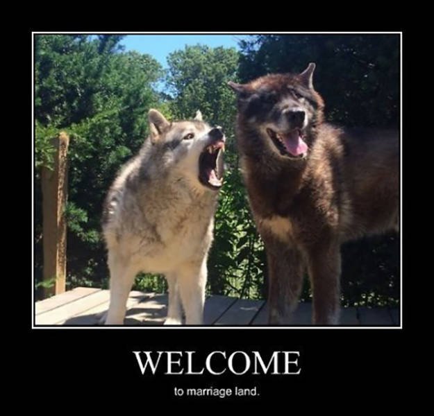 Bildschirmarbeiter - Picdump 18.03.2016