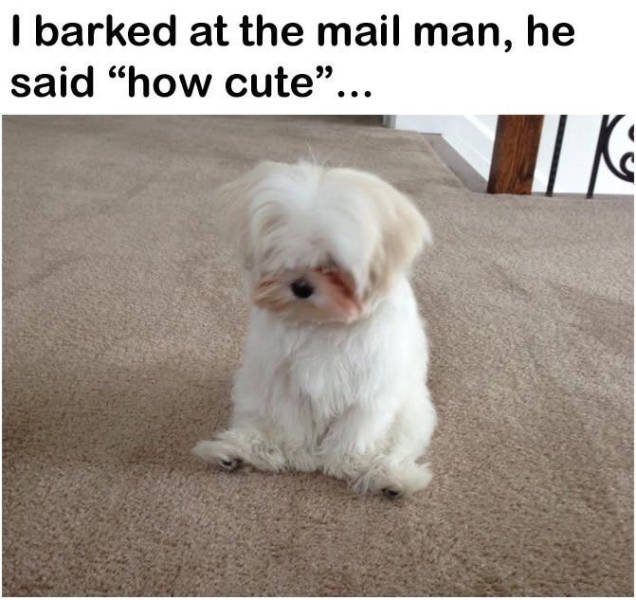 Bildschirmarbeiter - Picdump 18.03.2016