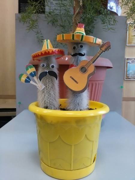 Bildschirmarbeiter - Picdump 18.03.2016