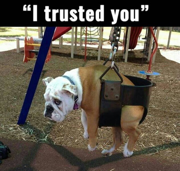 Bildschirmarbeiter - Picdump 18.03.2016