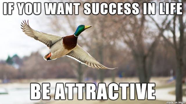 Bildschirmarbeiter - Picdump 18.03.2016