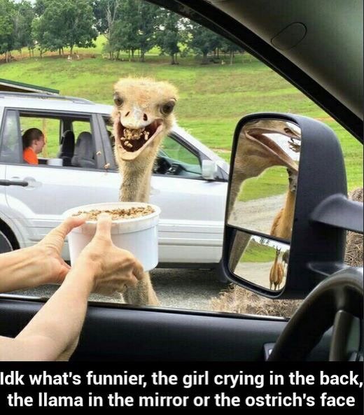 Bildschirmarbeiter - Picdump 18.03.2016