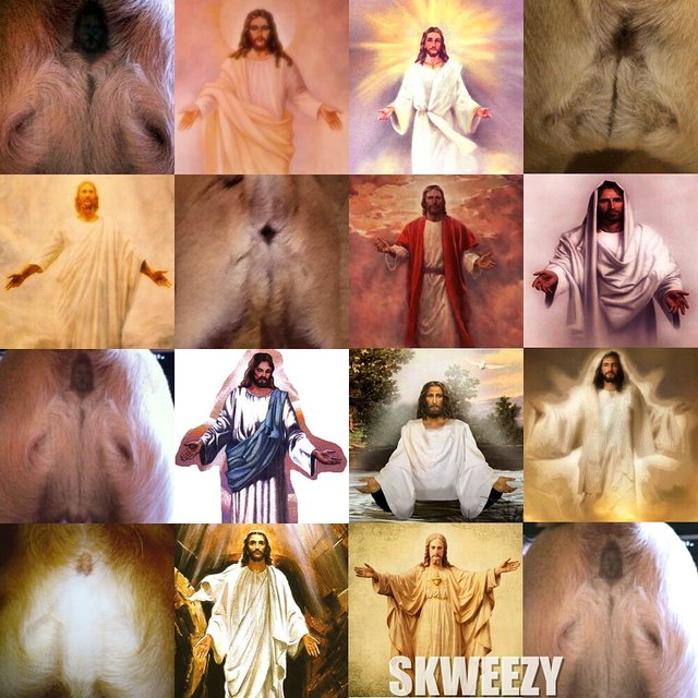 Bildschirmarbeiter - Picdump 18.03.2016