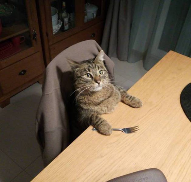 Bildschirmarbeiter - Picdump 18.03.2016