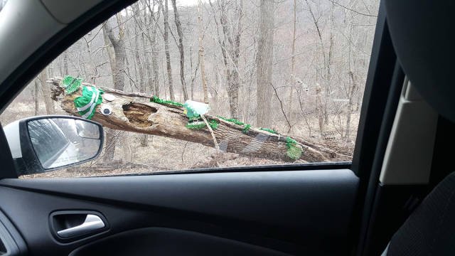 Bildschirmarbeiter - Picdump 18.03.2016