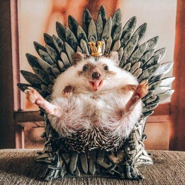 Bildschirmarbeiter - Picdump 24.05.2019