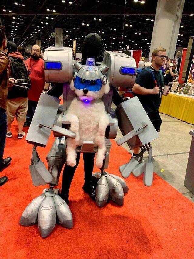 Bildschirmarbeiter - Picdump 24.05.2019