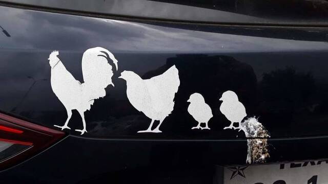 Bildschirmarbeiter - Picdump 24.05.2019