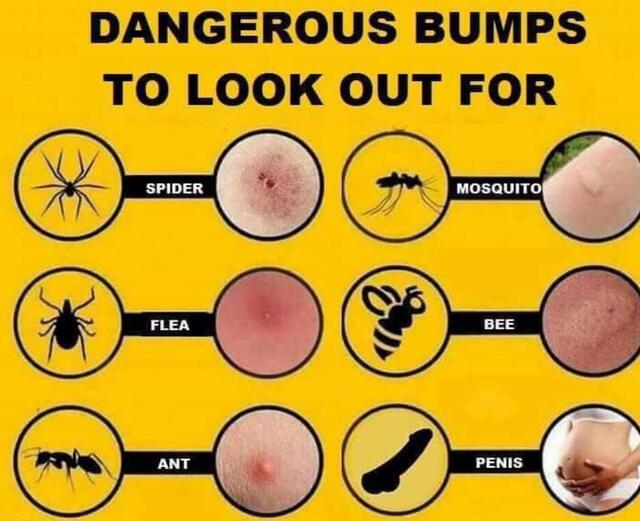 Bildschirmarbeiter - Picdump 24.05.2019