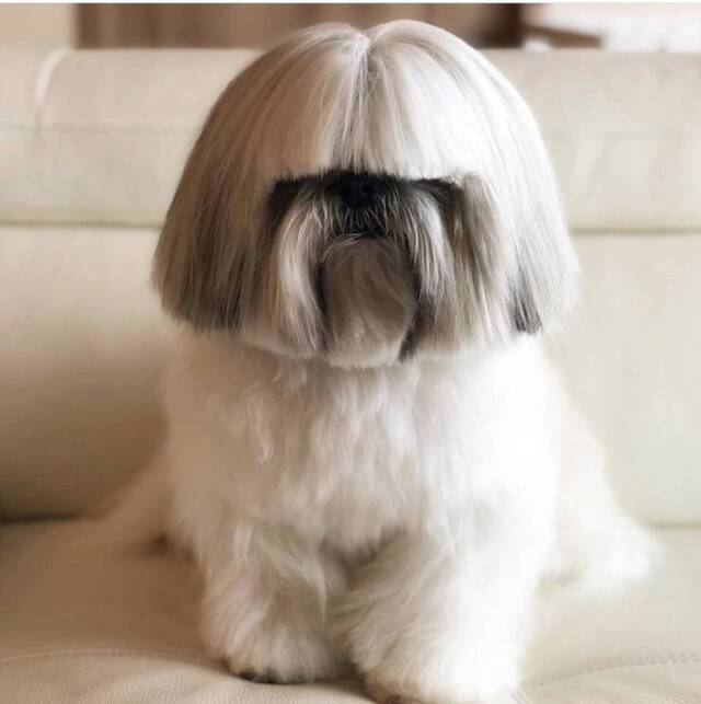 Bildschirmarbeiter - Picdump 24.05.2019