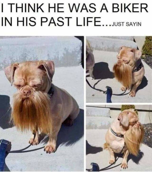 Bildschirmarbeiter - Picdump 20.12.2019