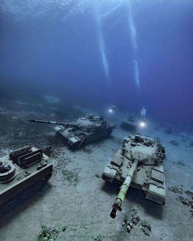 Bildschirmarbeiter - Picdump 20.12.2019