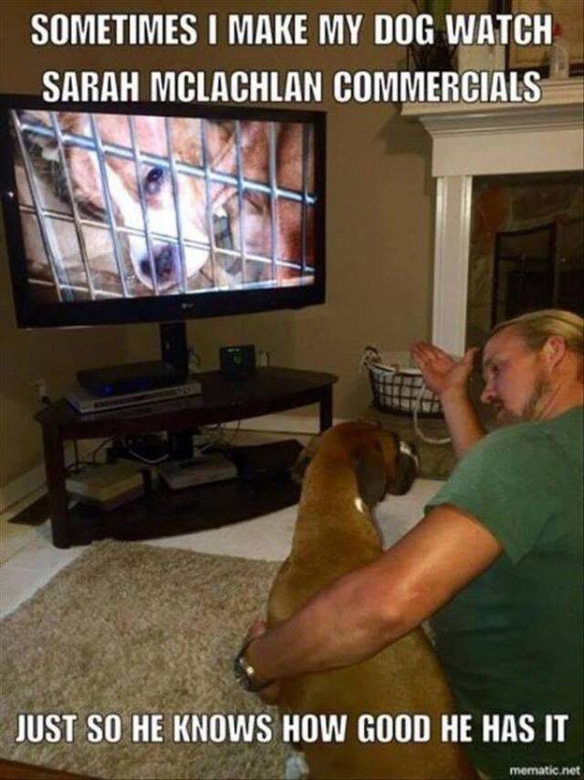 Bildschirmarbeiter - Picdump 20.12.2019