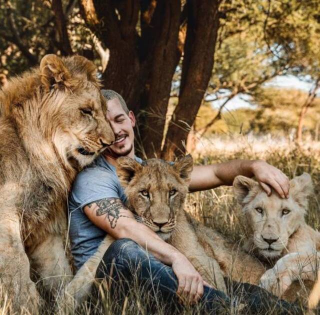 Bildschirmarbeiter - Picdump 20.12.2019