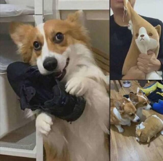 Bildschirmarbeiter - Picdump 20.12.2019