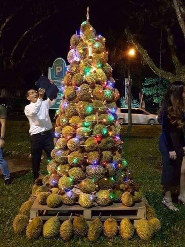 Bildschirmarbeiter - Picdump 20.12.2019