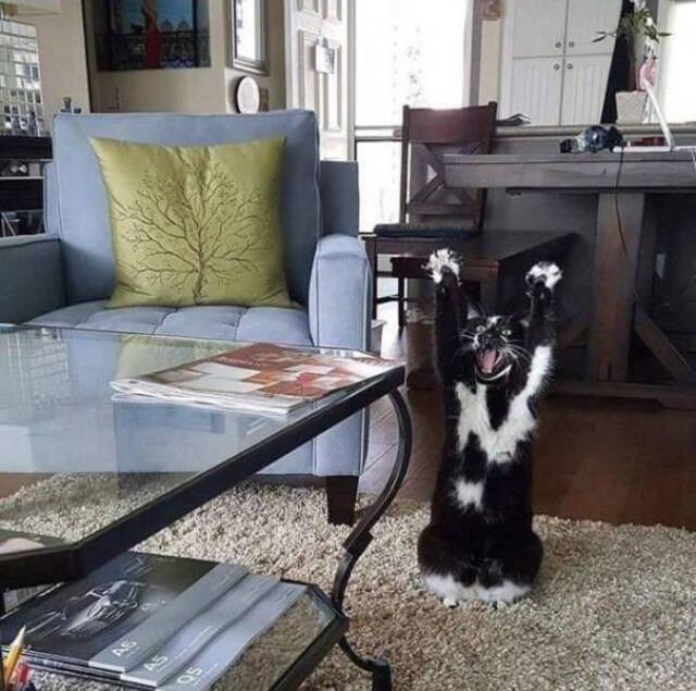 Bildschirmarbeiter - Picdump 20.12.2019