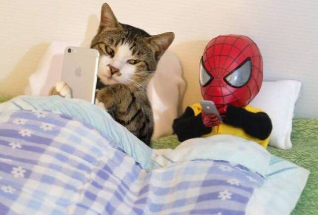 Bildschirmarbeiter - Picdump 20.12.2019