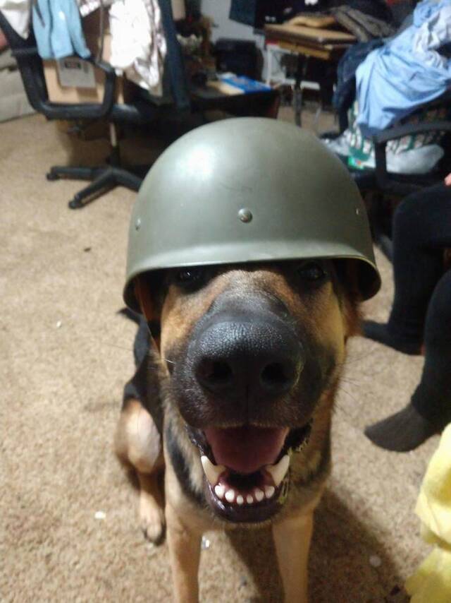 Bildschirmarbeiter - Picdump 20.12.2019